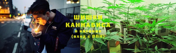 крисы Тольятти