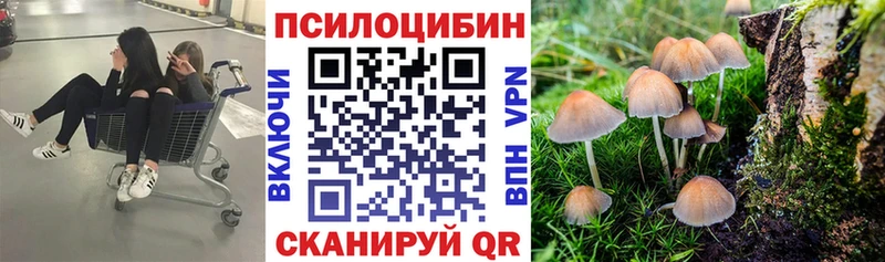 Галлюциногенные грибы MAGIC MUSHROOMS  Купить закладки  Закаменск 