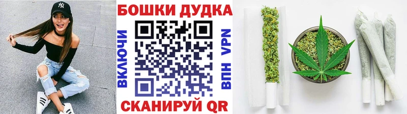 Купить закладки  Закаменск  Марихуана конопля 